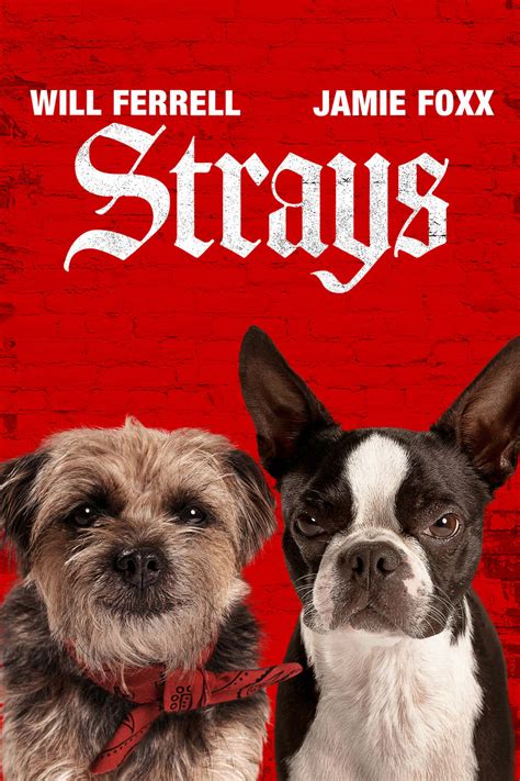 strays (2023) torrent|Strays (2023) YIFY .